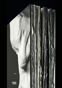 Florence Medici: Images of influence