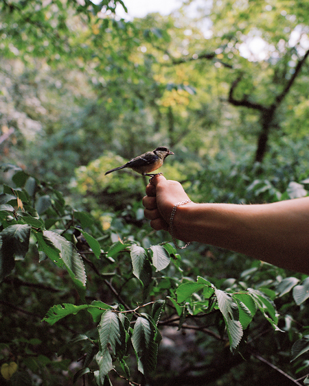 Фотография как ритуал / Интервью с Ильей и Ульяной Никитиными
