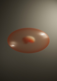 embryo-mother