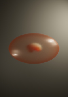 embryo-mother