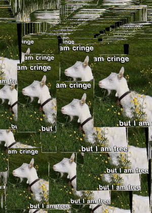 I am cringe, but I am free