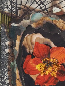 Видеть Пепел...