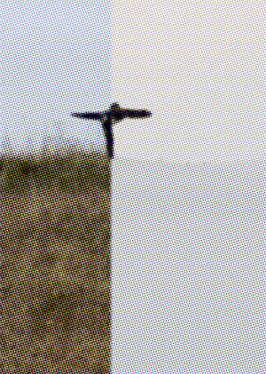 [ в пределах секунды ]