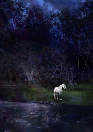 Иллюстрированная книга "Легенда о Шотландской Келпи"