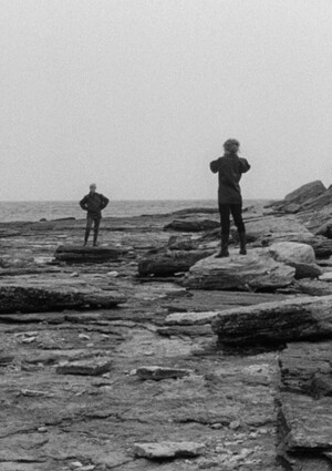 Остров Форё в фильмографии Ингмара Бергмана