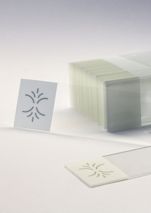 Открытая лаборатория «Теплица»