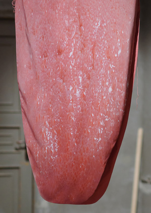 "For Language" exhibition project