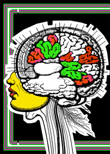 Brain suite Brain suite