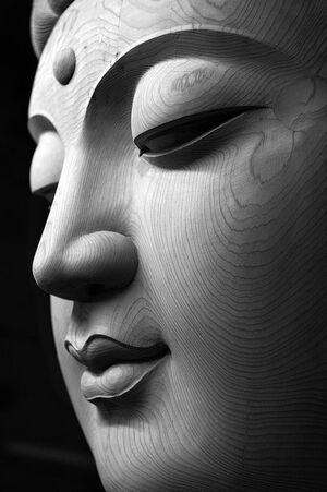 Трансформация восточных концепций в работах видеохудожников