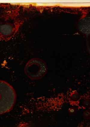 Рукотворная жизнь