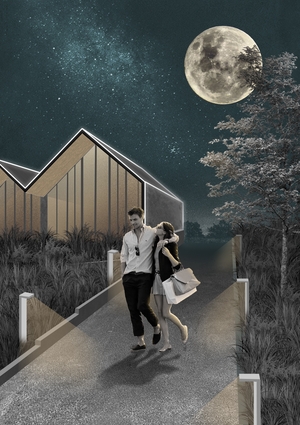 Концепция освещения этно-кластера