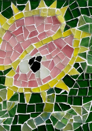 Венерина мухоловка и Розовая пантера