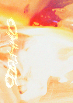 кампейн для галереи PROGRAFIKA