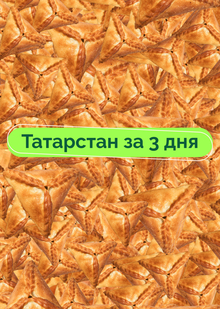 Татарстан за&nbsp;3 дня