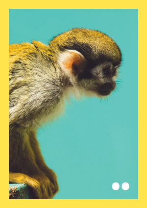 Человек в животном