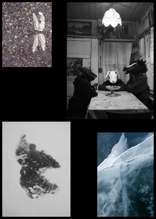 Серия фотокниг для портфолио книжного дизайнера Серия фотокниг для портфолио книжного дизайнера