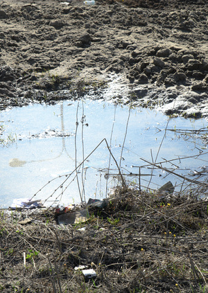 Смешанные чувства