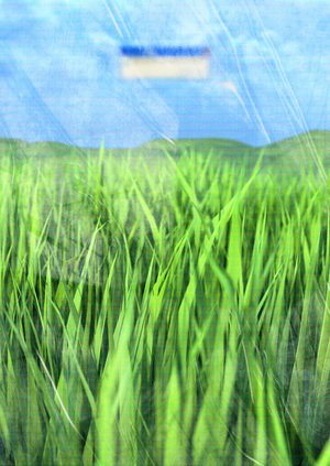 Viewfinder