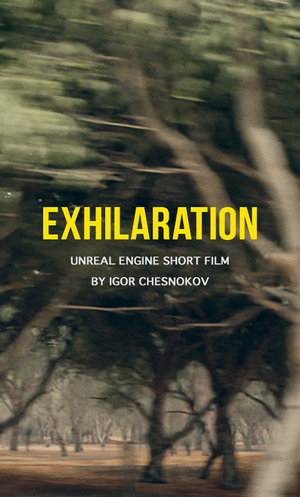 EXHILARATION