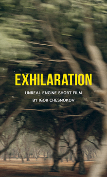 EXHILARATION
