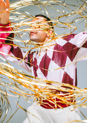 Коллекция мужской одежды «CARNAVAL»