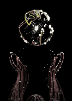 Starset octopus. Houdini FX