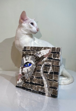 кот и стрекоза