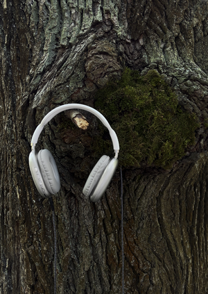 Зеленая слепота. Аудио-перфоманс