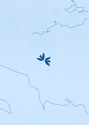 «Baltic Memoir» | Ребрендинг винтажного магазина одежды 