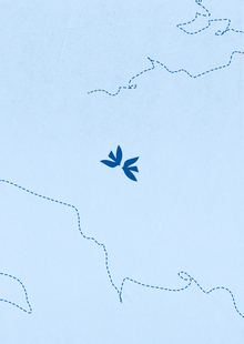 «Baltic Memoir» | Ребрендинг винтажного магазина одежды