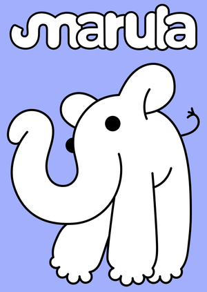 MARULA: Project implementation