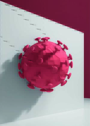 Анализ данных о смертности во время COVID-19