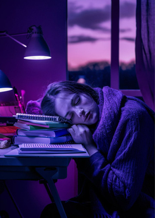 Анализ успеваемости учащихся Анализ успеваемости учащихся