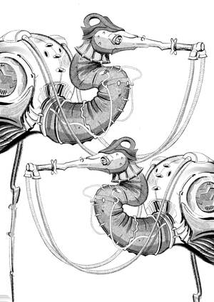 COLIZIUM 