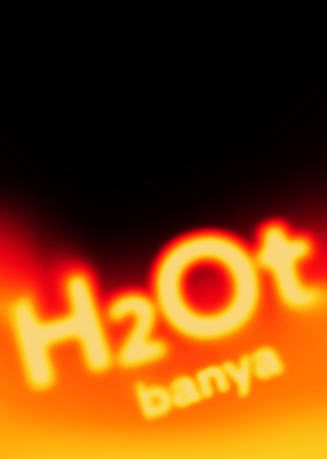 H₂Ot — бренд современных бань