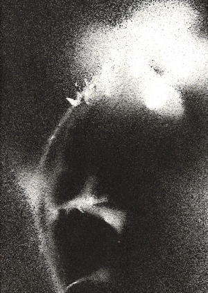 Withering memories.