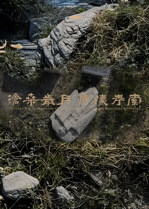 Through the Vicissitudes of Time，Exploring the Tang Mausoleums