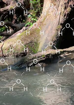 Манифест Насти Чернаковой. Безустанная вода