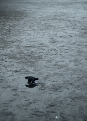 Серия платков к манифесту «Наваждение»