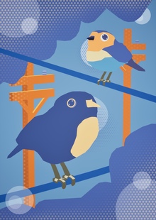 Bird Connection Bird Connection