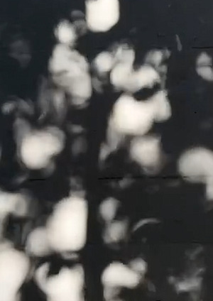 городские наблюдения в поисках света