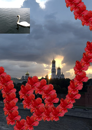 Цветущая Москва