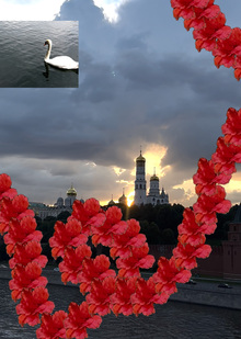 Цветущая Москва