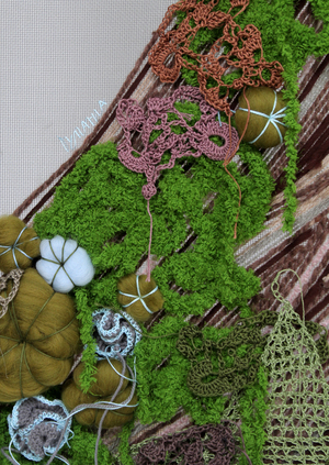 мхи и лишайники: практическое пособие