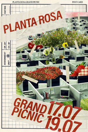 Поп-ап пикник "Planta Rosa"