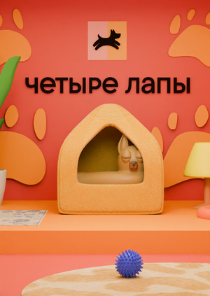 Витрина для зоомагазина «Четыре лапы»