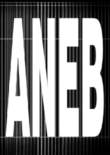 ребрендинг ANEB
