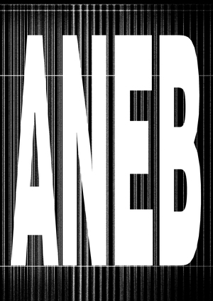 ребрендинг ANEB