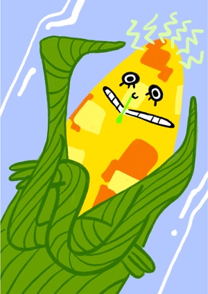 Бренд замороженных овощей FREEZY