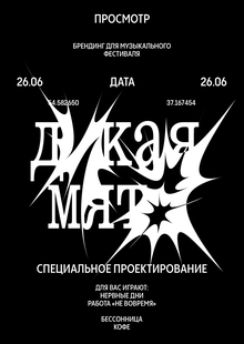 Фестиваль «Дикая мята» Фестиваль «Дикая мята»